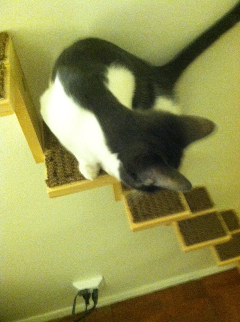 Cat Staircase. Cats Can Climb From Floor to Ceiling. Turn Your Etsy