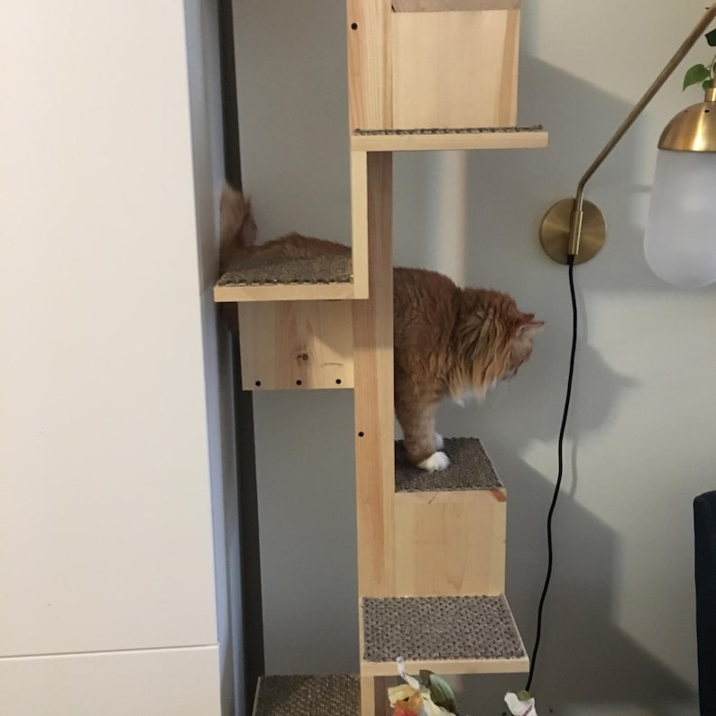 SQUARAL Cat Staircase. ALL cats can safely climb up high. image 4