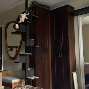 SQUARAL Cat Staircase. ALL cats can safely climb up high. image 6