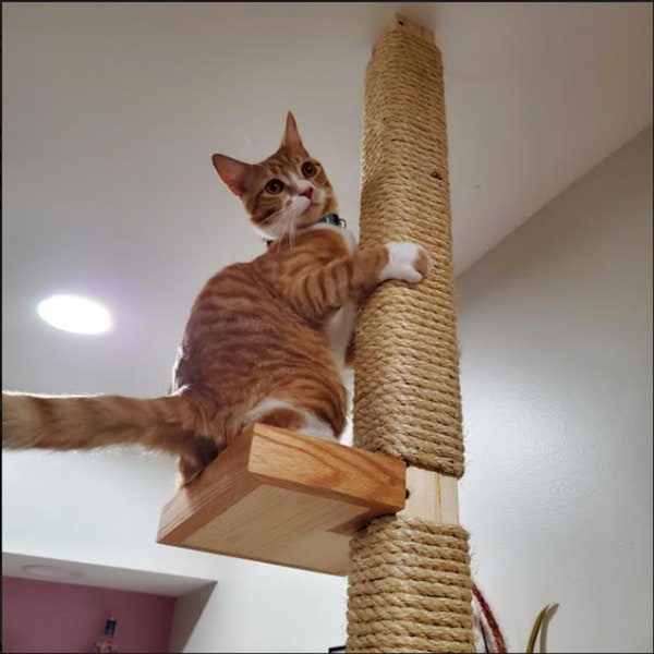 Deluxe Cat Pole Landing. (An optional accessory for the Cat Pole).