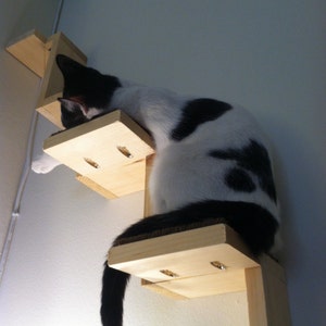 Cat Staircase. Cats can climb from floor to ceiling. Turn your home into a cat duplex. image 3