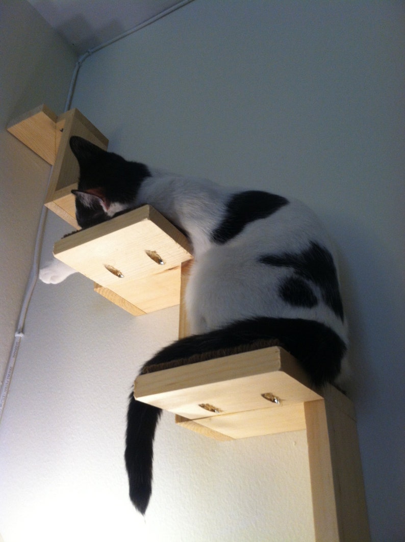 Cat Staircase. Cats can climb from floor to ceiling. Turn your home into a cat duplex. image 3