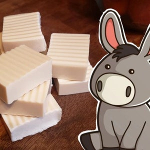 Handcrafted Donkey&#39;s Milk Soap w/ RAW Honey - Free Shipping