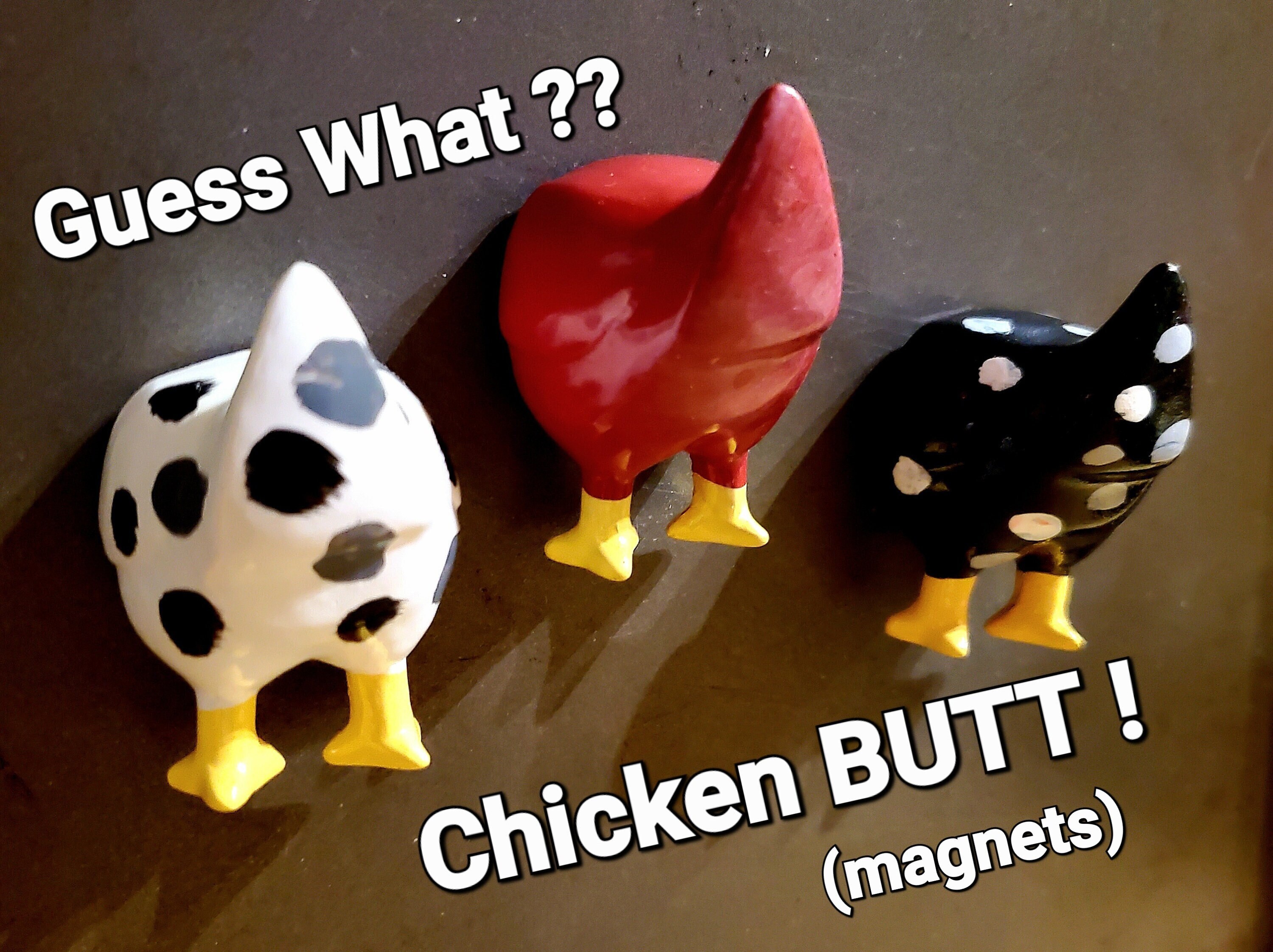 Chicken Magnet 