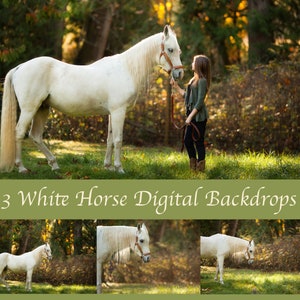 3 White Horse Digital Backdrops