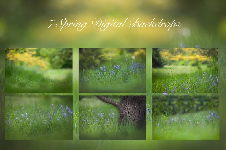 7 Spring Digital Backdrops - Etsy