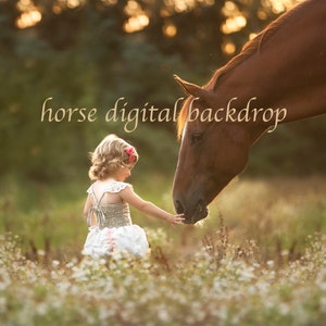 Op de afbeelding: Een jong meisje in een witte jurk reikt naar de neus van een bruin paard in een veld met witte wilde bloemen.