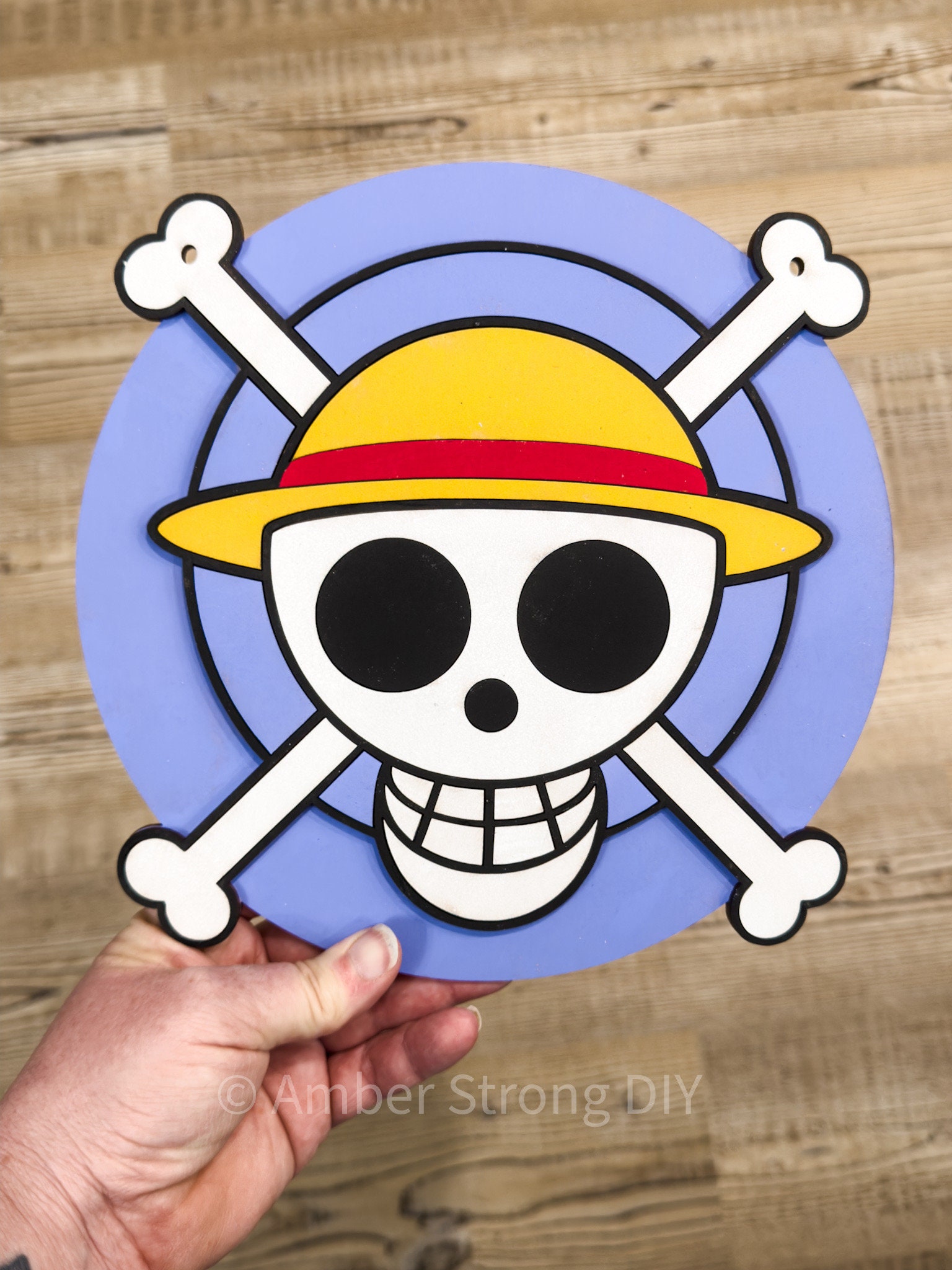 Jolly Roger One Piece 9 Inch Round Door Hanger Sign DIY Craft Kit