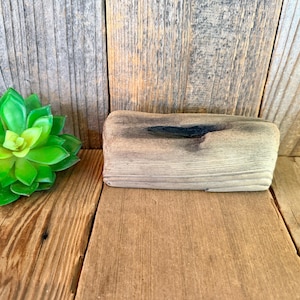 May include: A small, rectangular piece of driftwood with a dark, weathered appearance. The wood has a natural, light brown color with darker streaks and a knot. A vibrant green succulent plant is to the left of the driftwood.
