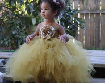 May include: A young girl wearing a gold tulle tutu dress with a gold and brown flower embellishment. She is wearing a red and white flower crown.