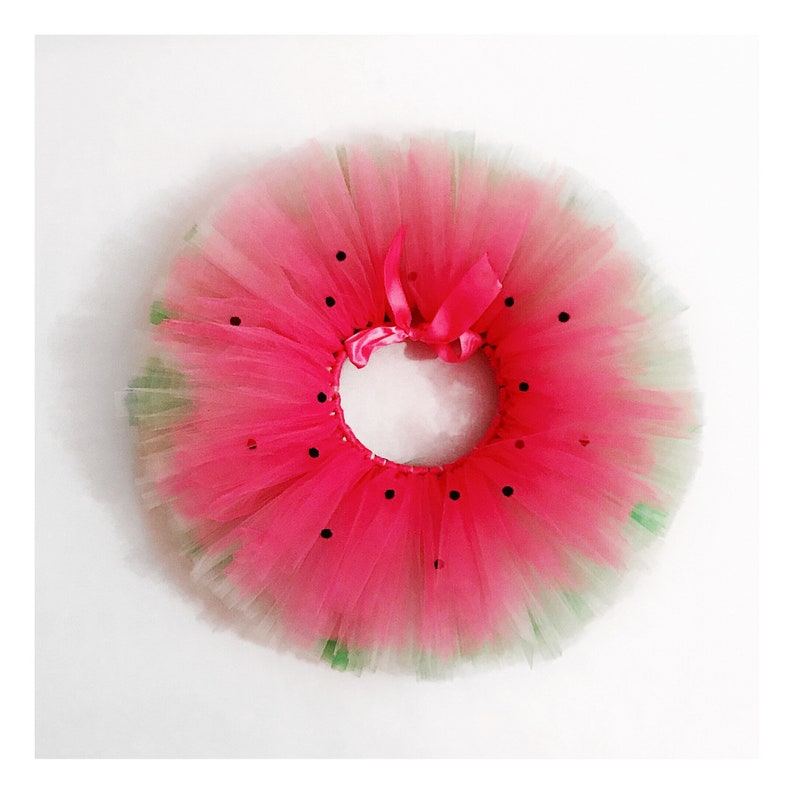 Watermelon SASSY, tutu, watermelon tutu, pink tutu, toddler tutu, girls tutu, one in a melon, watermelon birthday image 1