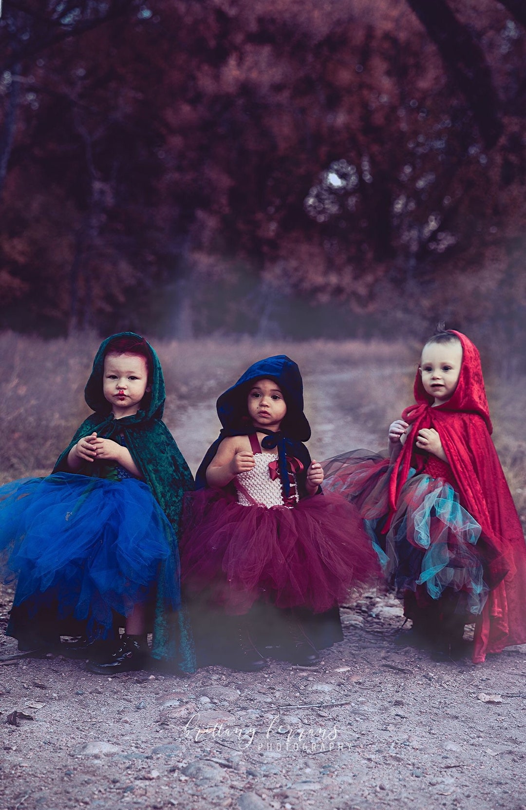 SANDERSON, Hocus Pocus Costumes, Hocus Pocus Tutu, Sanderson Sisters