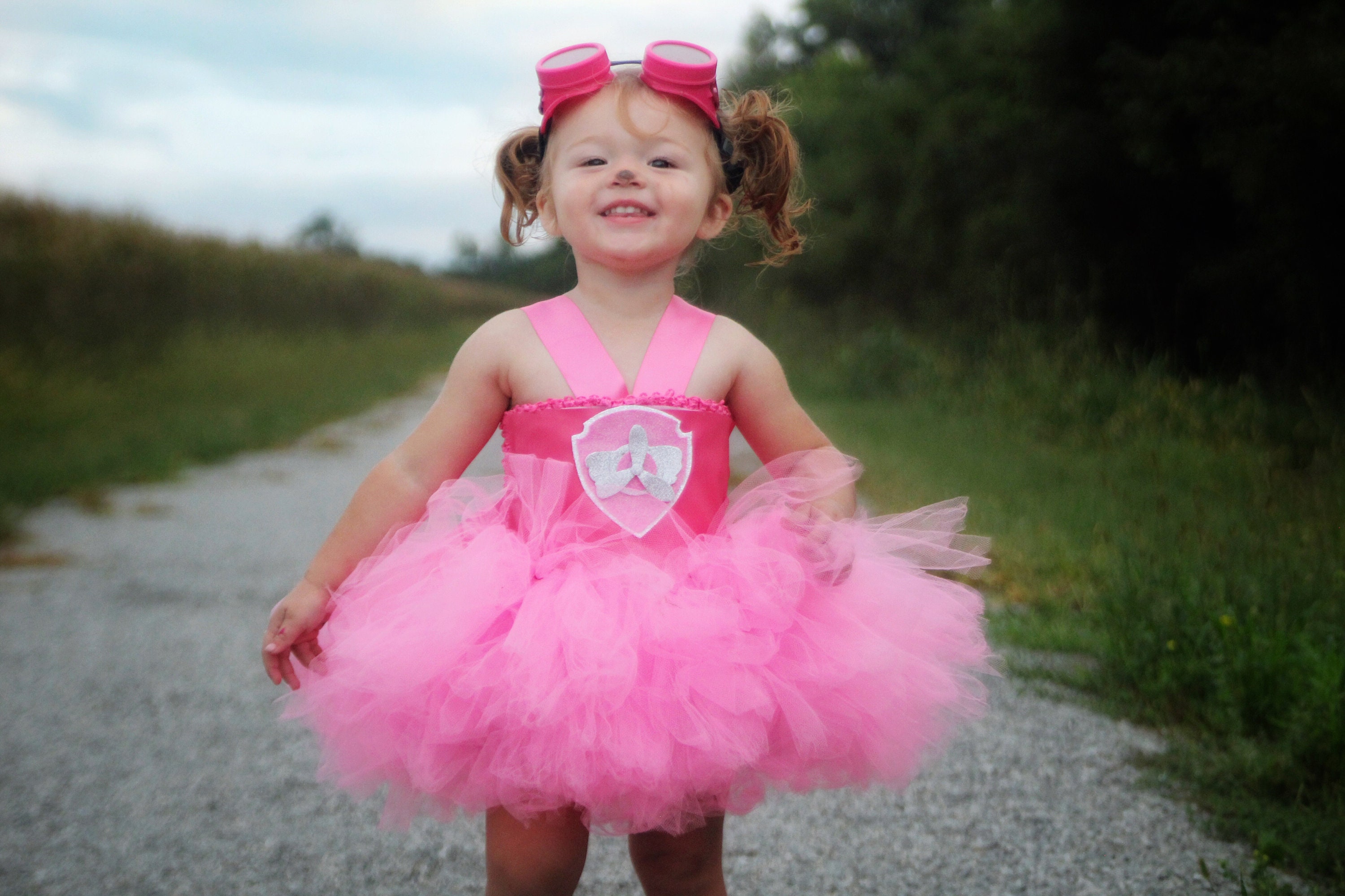 Paw Patrol Skye Tutu Dress Patrol Skye Birthday Outfit Girl Paw Patrol Birthday Tutu Skye Tutu Paw Patrol Skye Tutu Dress Patrol Skye Birthday Outfit Girl Paw Patrol Birthday Tutu Skye Tutu