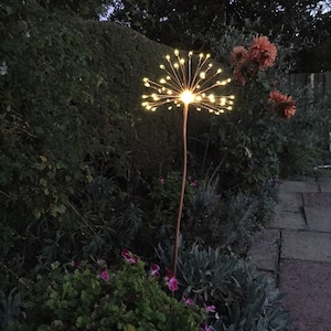 Flower garden light, copper and solar powered LEDs. Allium Agapanthus Flower