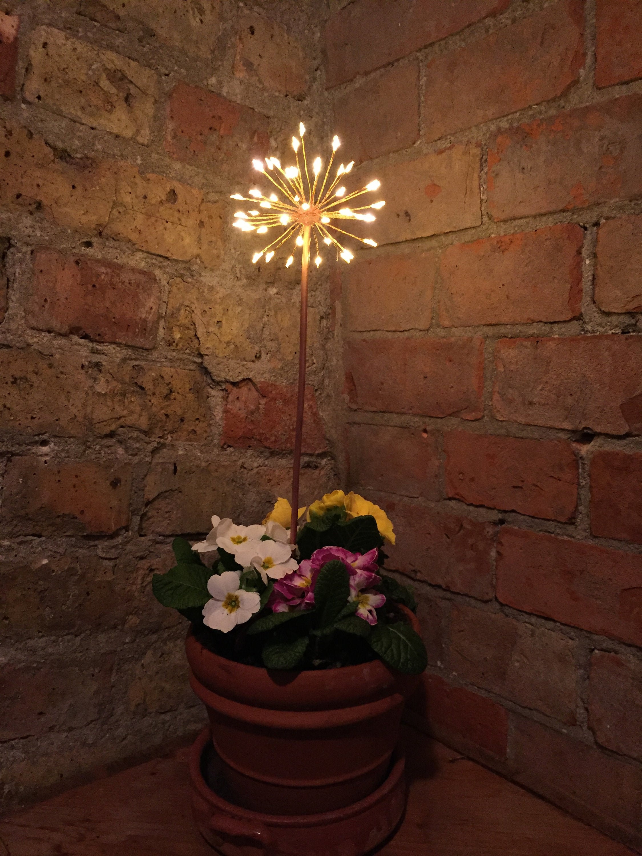 Allium Light Small Battery Powered Leds Indoor or Outdoor