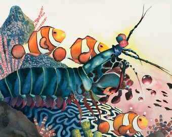 mantis shrimp print etsy