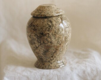 Vintage Pakistani Fossil Stone Lidded Urn | Carved Fossil Marble Jar | Stone Ginger Jar | Organic Modern Decor *see details