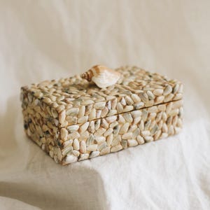 May include: A rectangular box with a lid, entirely covered in small, smooth, light-colored seashells in shades of beige, cream, and soft gray. A single, larger, spiraled tan seashell is attached to the center of the lid as a decorative handle.