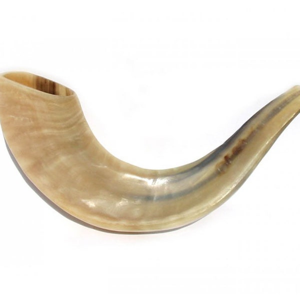 Small 9"-10" Shofar Jewish Natural Authentic Kosher Yemenite Kudu Horn Israel Pulished Music Rosh Hashanah Yom Kippur