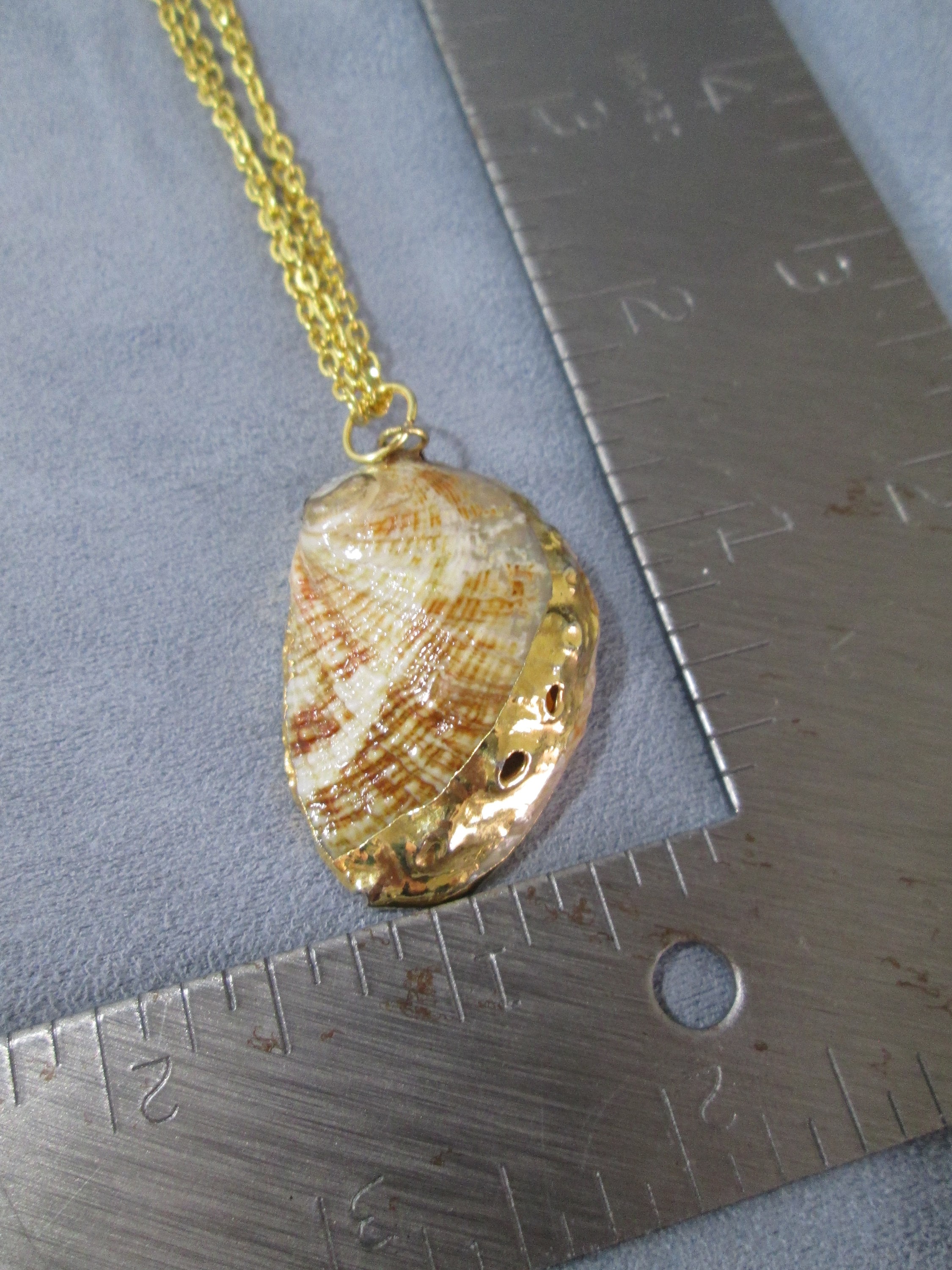 Gilt Seashell Pendant Necklace Double Chain Golden Brass 20 Etsy