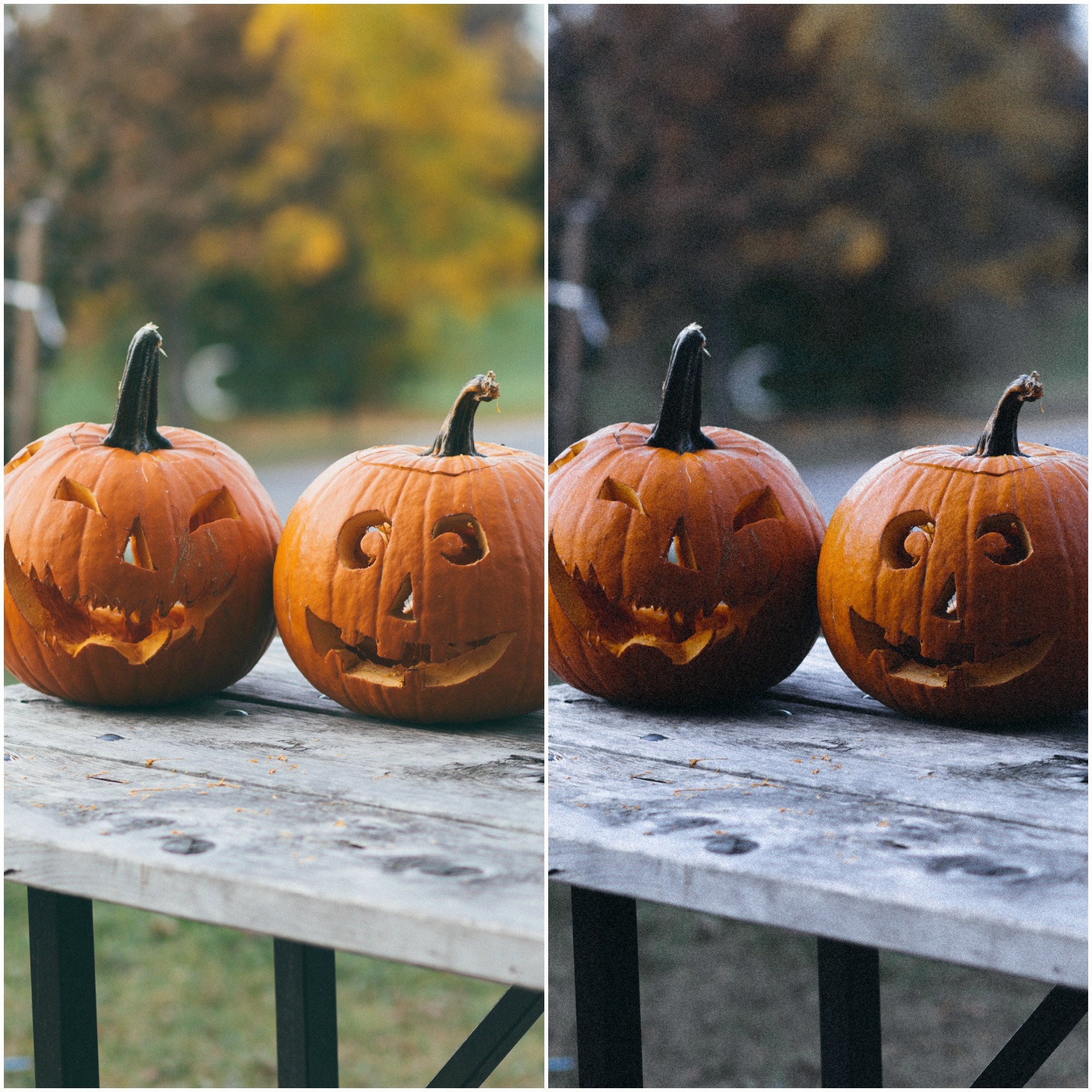 Spooky Season // Lightroom Mobile Preset - Etsy