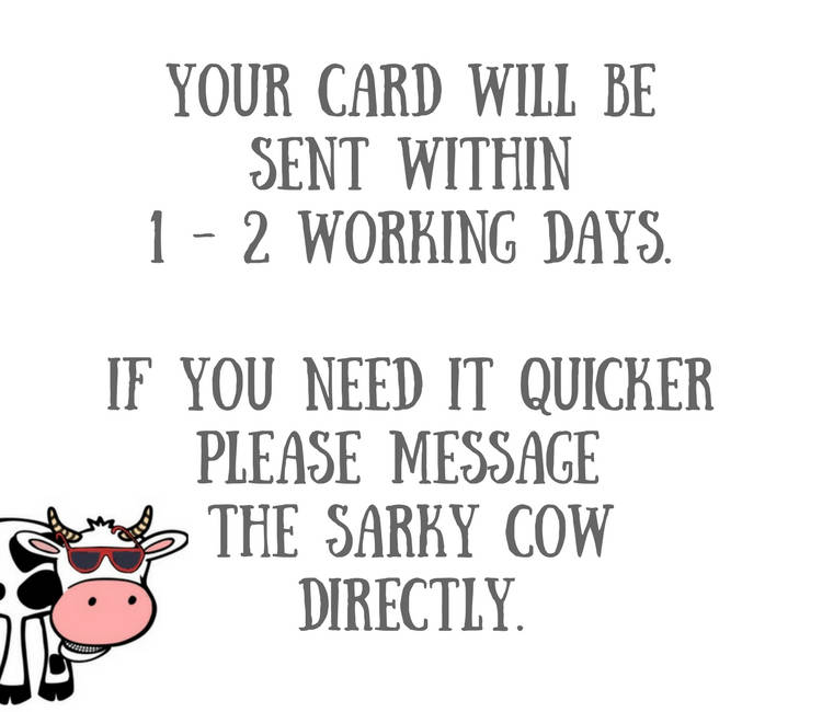 birthday cards funny for him funny birthday card him funny etsy