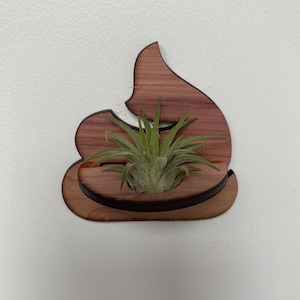 Poop Emoji Air Plant Holder: Cedar Funny Wall Decor