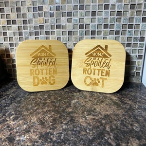 Treat Container for Pets. Glass Dog Treat Holder. Glass Cat Treat Holder. Engraved Bamboo Pet Dish.