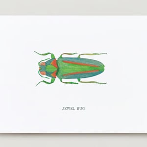 Watercolor Print - Jewel Bug