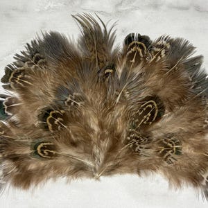 Feather Hat Patch, PATCH ONLY, 55, Real Feathers, Feathered Hat Patch, Feather Trucker Hat, Western Hat Patch, Western Trucker, Feather Fan