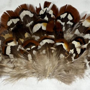 Feather Hat Patch, PATCH ONLY, 54, Real Feathers, Feathered Hat Patch, Feather Trucker Hat, Western Hat Patch, Western Trucker, Feather Fan