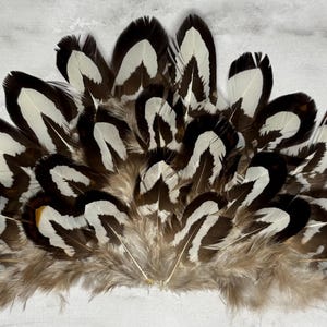 Feather Hat Patch, PATCH ONLY, 48, Real Feathers, Feathered Hat Patch, Feather Trucker Hat, Western Hat Patch, Western Trucker, Feather Fan