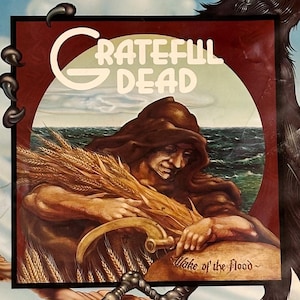 1970s Grateful Dead Poster for Wake of the Flood - 1973 Promo - 23” x 17” - Lithographed in U.S.A. - Vintage Deadhead - Rick Griffin - AS IS
