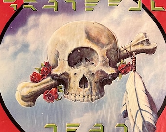 Grateful Dead 1981 Original Europe Concert DESERT SKULL Postcard