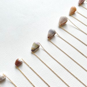 May include: A row of gold chains with small seashells attached. The shells are various shades of brown, pink, and white.