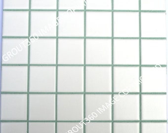 Seafoam Green 5 Pound Bag, Sanded Grout. Tile Grout Colors. 5 pounds of grout