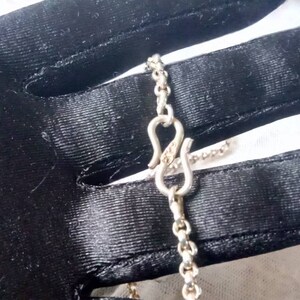 Pu&ograve; includere: Una collana a catena d'argento con chiusura a moschettone. La catena &egrave; composta da piccoli cerchi collegati.