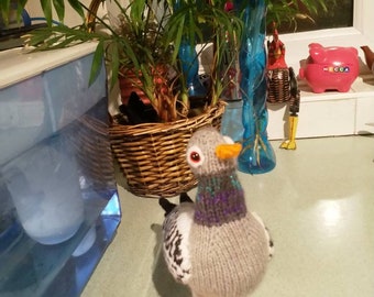 Lovely hand knitted Pigeon