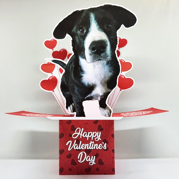 Personalized 3D Pop-Up Valentine's Day Card - Custom Pet Photo Gift