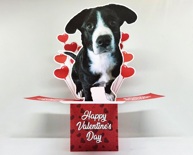 Valentine's Day Photo Pop-Up Greeting Card Personalized Card, Custom Card Valentine's Day, Pet Lovers, Photo Card, Pop Up Card image 1