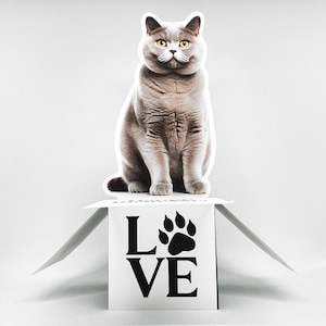 Cartão de felicitações pop-up com foto de gato | Cartão personalizado 3D para animais de estimação | Ideias personalizadas para presentes de aniversário, Natal e outros