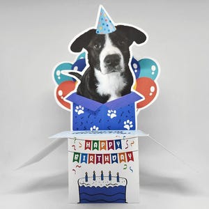 Personalisierte Haustier Geburtstags-Pop-Up Karte - Lustiger Hund oder Katze Foto Geschenkbox Gruß