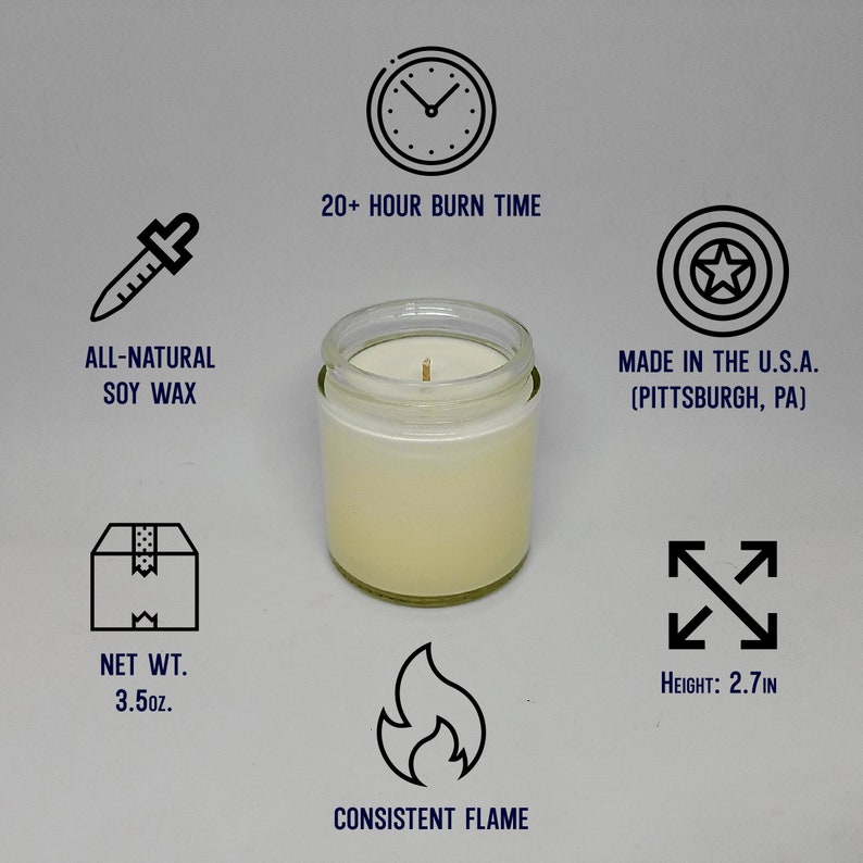 3.5oz. Funny Candlesoy Candles Insult Sarcasm Joke Etsy