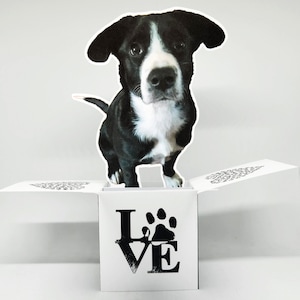Biglietto di auguri pop-up con foto di cane personalizzato / Biglietto di auguri personalizzato per animali domestici / Biglietto di auguri 3D unico per gli amanti degli animali