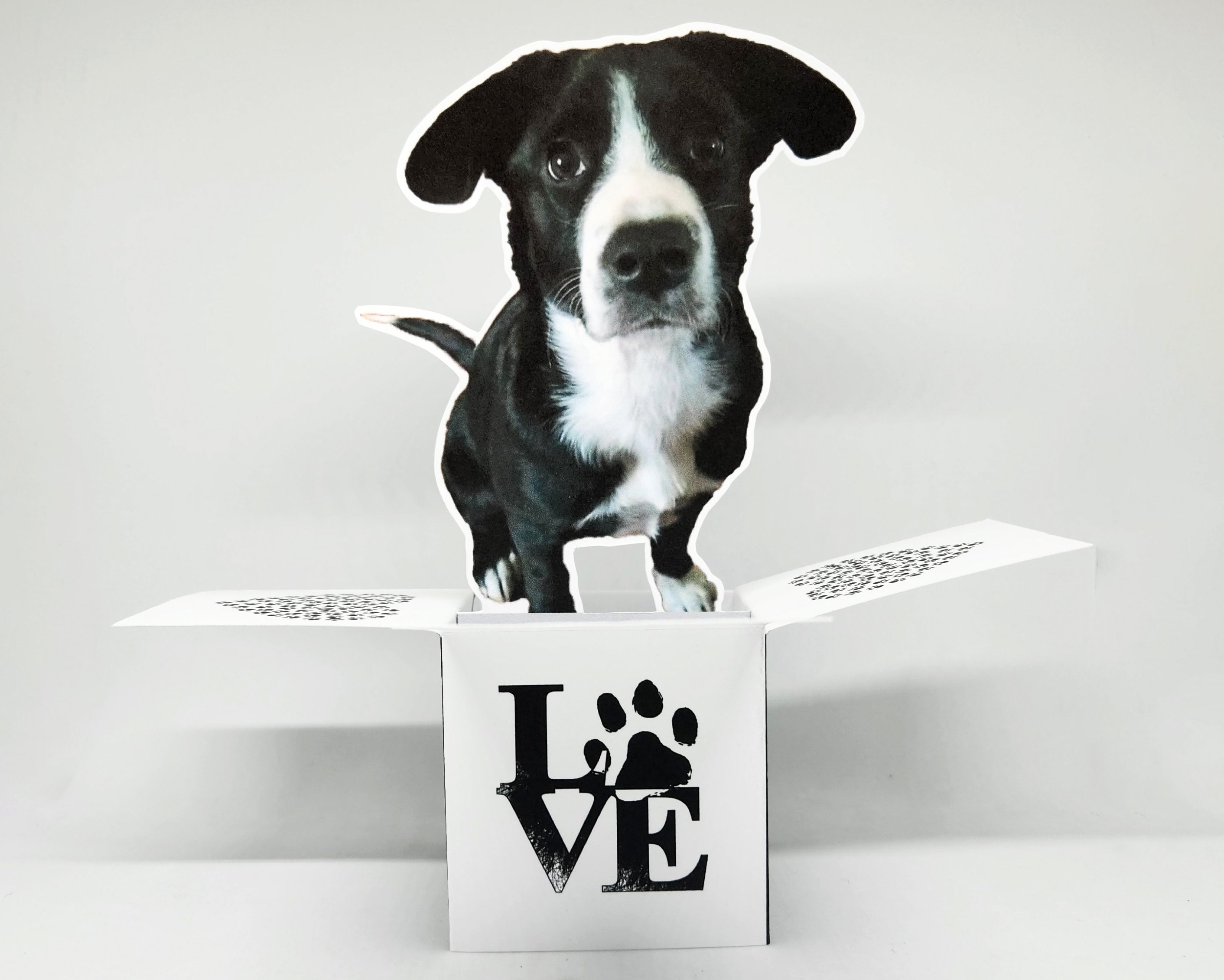 Custom Dog Photo Pop-Up Birthday Card | Personalized Pet Card | Unique 3D Greeting for Pet Lovers
