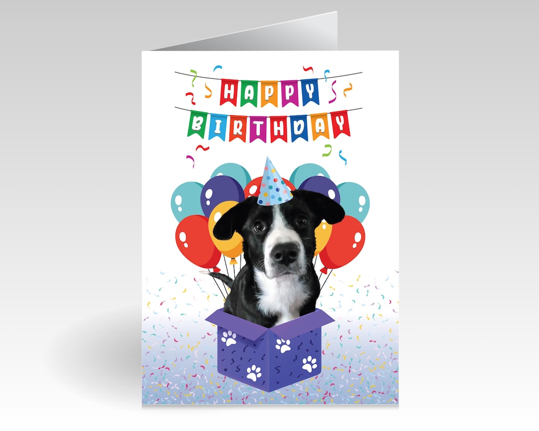 Pet Photo Birthday Card – Funny Dog or Cat Personalized Gift Box ...