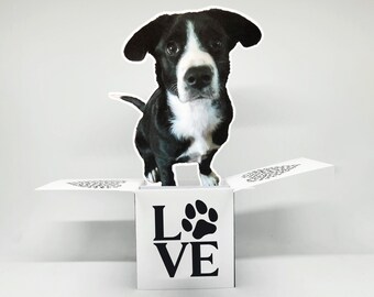 Personalized Pet Photo Pop-Up Card: Custom Dog or Cat Gift
