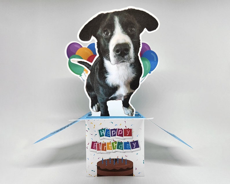 Birthday Pet Photo Pop-Up Greeting Card Personalized Dog Birthday Card Custom Photo Greeting Card Birthday, Pet Lovers, Gift Ideas image 1