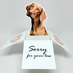 Personalisierte Beileidskarte Hund – Personalisiertes 3D Foto Geschenk