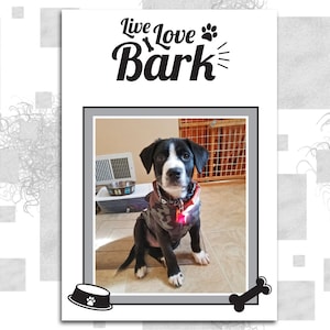 Cartão pop-up com foto de animal de estimação – Cartão de felicitações 3D personalizado para animais de estimação, presente personalizado para amantes de animais de estimação